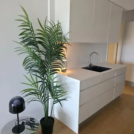 Apartment Amazing 50m From Cph Harbour